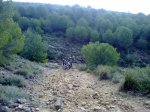 12102010026.jpg