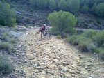 12102010028.jpg