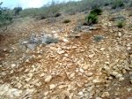 12102010042.jpg
