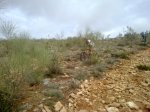 12102010047.jpg