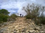 12102010054.jpg