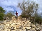 12102010061.jpg