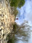12102010059.jpg