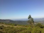 12102010342.jpg
