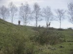 PA102792.jpg