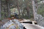 DSC_0190.jpg