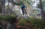 DSC_0211.jpg