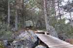 DSC_0186.jpg