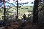 DSC_0222.jpg