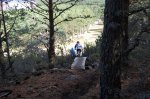 DSC_0268.jpg