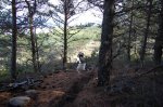 DSC_0237.jpg