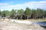 DSC_0309.jpg