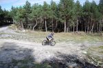 DSC_0304.jpg