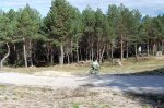 DSC_0310.jpg