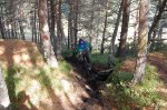 DSC_0341.jpg