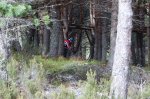 DSC_0367.jpg
