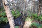 DSC_0424.jpg