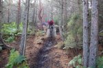 DSC_0416.jpg