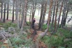DSC_0484.jpg