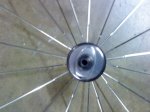 DSC00119.jpg