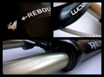 reba team_6.jpg