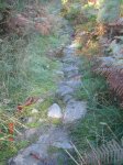 DSC00226.jpg