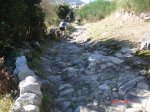 DSC00232.jpg