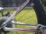 trek nuevas 003.jpg