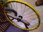 DSC01240.jpg