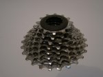 DSC05568.jpg