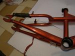 DSC05594.jpg