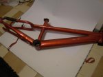DSC05593.jpg
