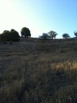 IMG_0032.jpg