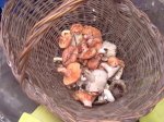 12102010016.jpg