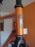 DSC01709.jpg