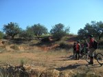 SDC10023.jpg