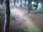 PICT0002 004_0002.jpg
