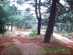 PICT0001 022_0001.jpg