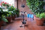 DSC00057.jpg