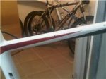 bici 1.jpg