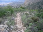 IMG_0816.jpg