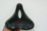 DSC00695.jpg