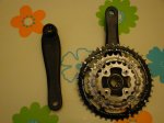 DSC05095.jpg