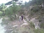 IMG668.jpg