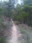 IMG00093-20101015-1729.jpg
