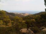IMG00088-20101015-1708.jpg