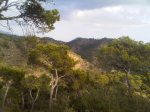 IMG00091-20101015-1708.jpg