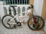 frigi 004.jpg