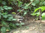 DSC01674.jpg