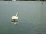 DSC01676.jpg